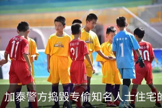 加泰警方捣毁专偷知名人士住宅的犯罪团伙